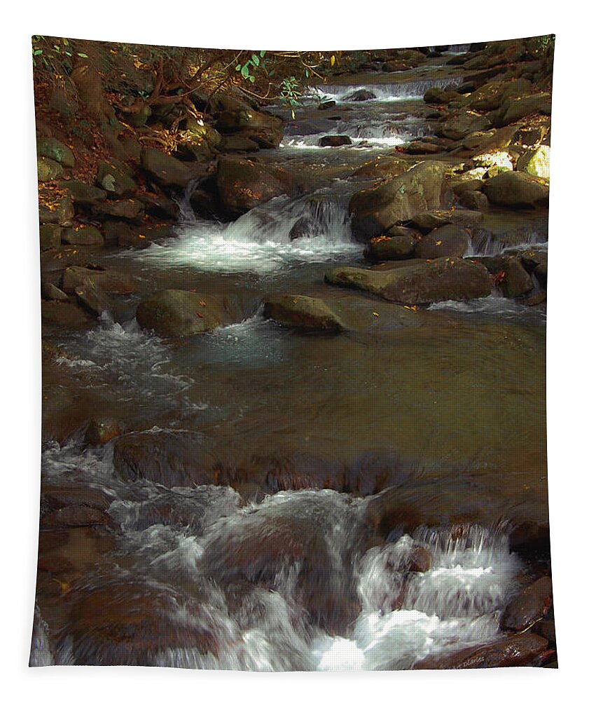 Rocks Tapestry featuring the photograph Stepping Stones of the Mountains by DigiArt Diaries by Vicky B Fuller