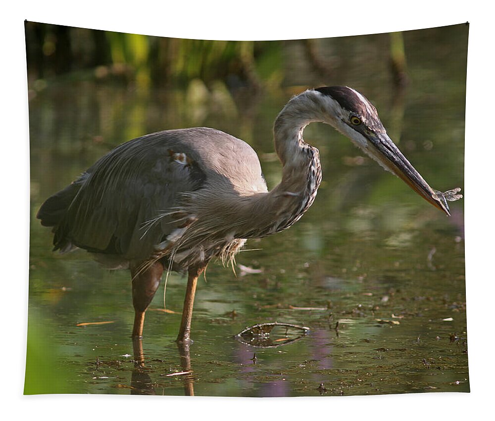 Great Blue Heron Tapestry featuring the photograph Stop Bugging Me by Juergen Roth
