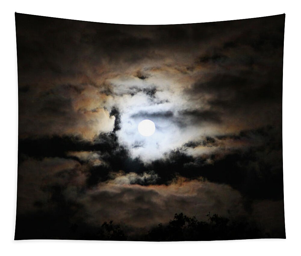 Full Moon Tapestry featuring the photograph Stormy Moon by Diana Haronis