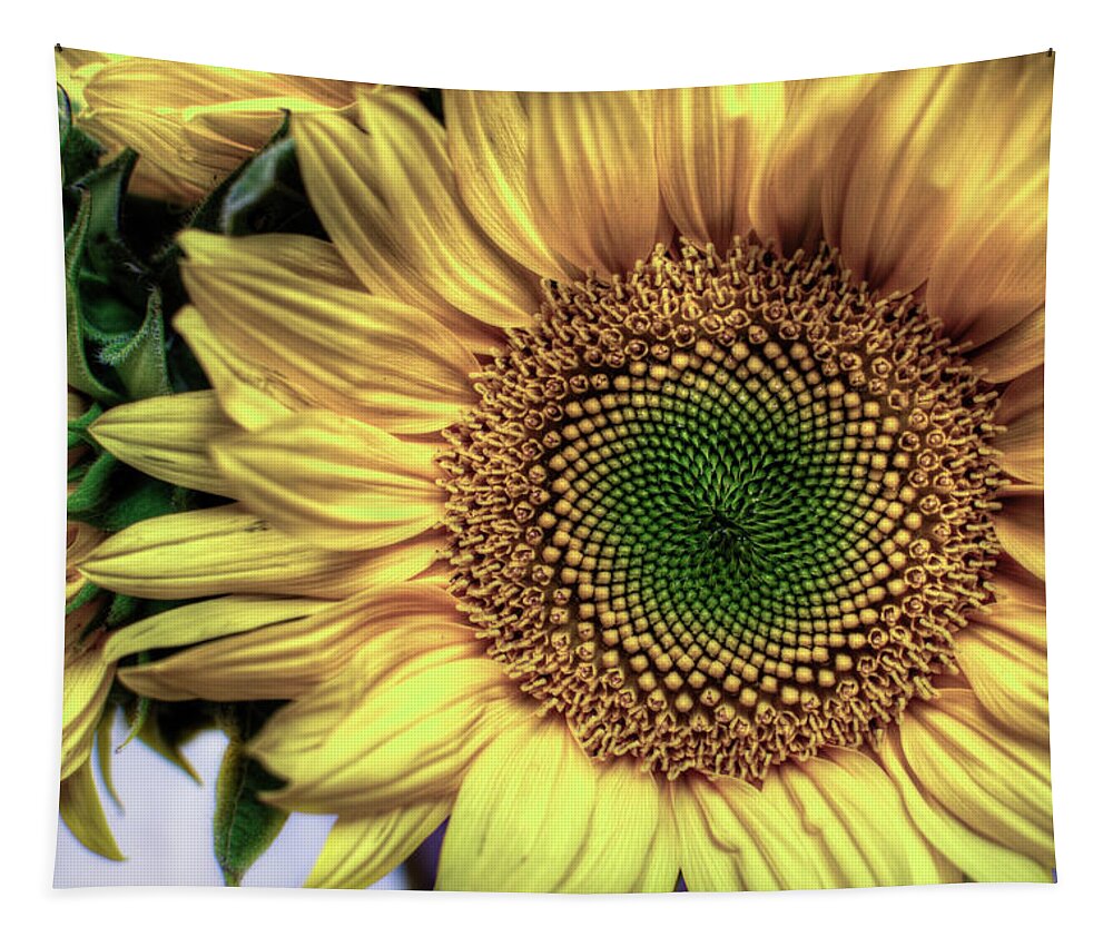  Tapestry featuring the photograph Sunflower 28 by Natasha Bishop