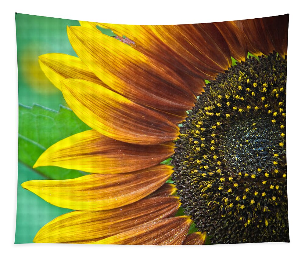 Sunflower Tapestry featuring the photograph Sunflower Beauty by Craig Leaper