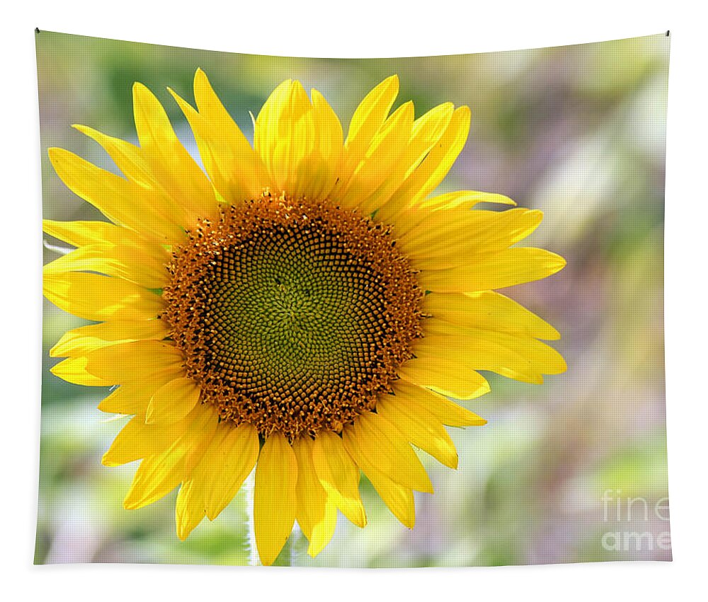 Flower Tapestry featuring the photograph Sunflower by Teresa Zieba
