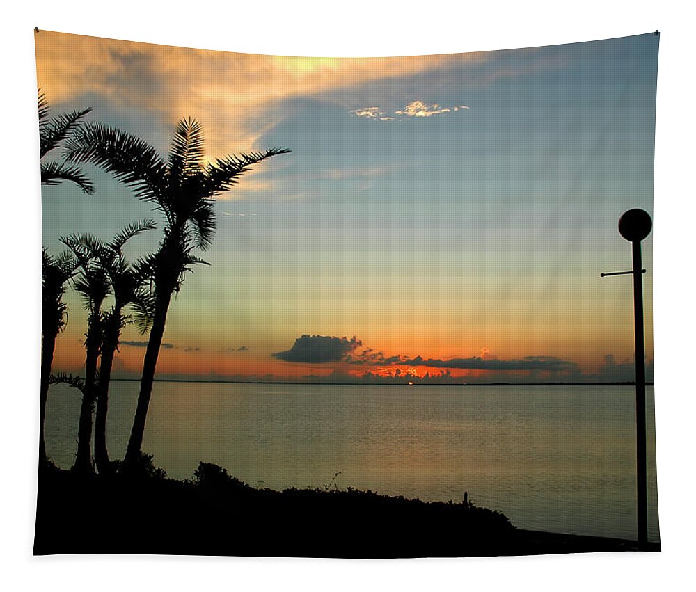 Sunset Tapestry featuring the photograph Sunset Over Tampa Bay by Carolyn Marshall