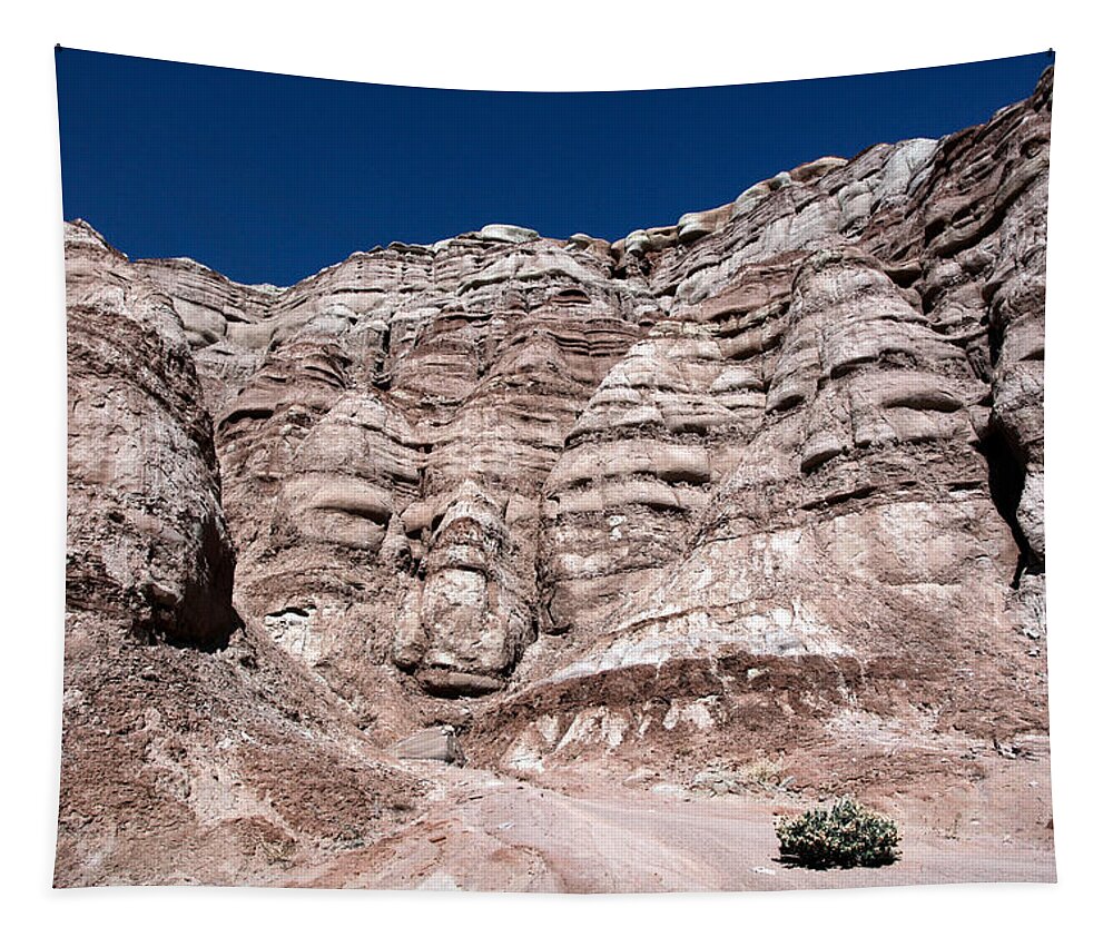 Escalante Tapestry featuring the photograph Survival in the Wilderness by Karen Lee Ensley