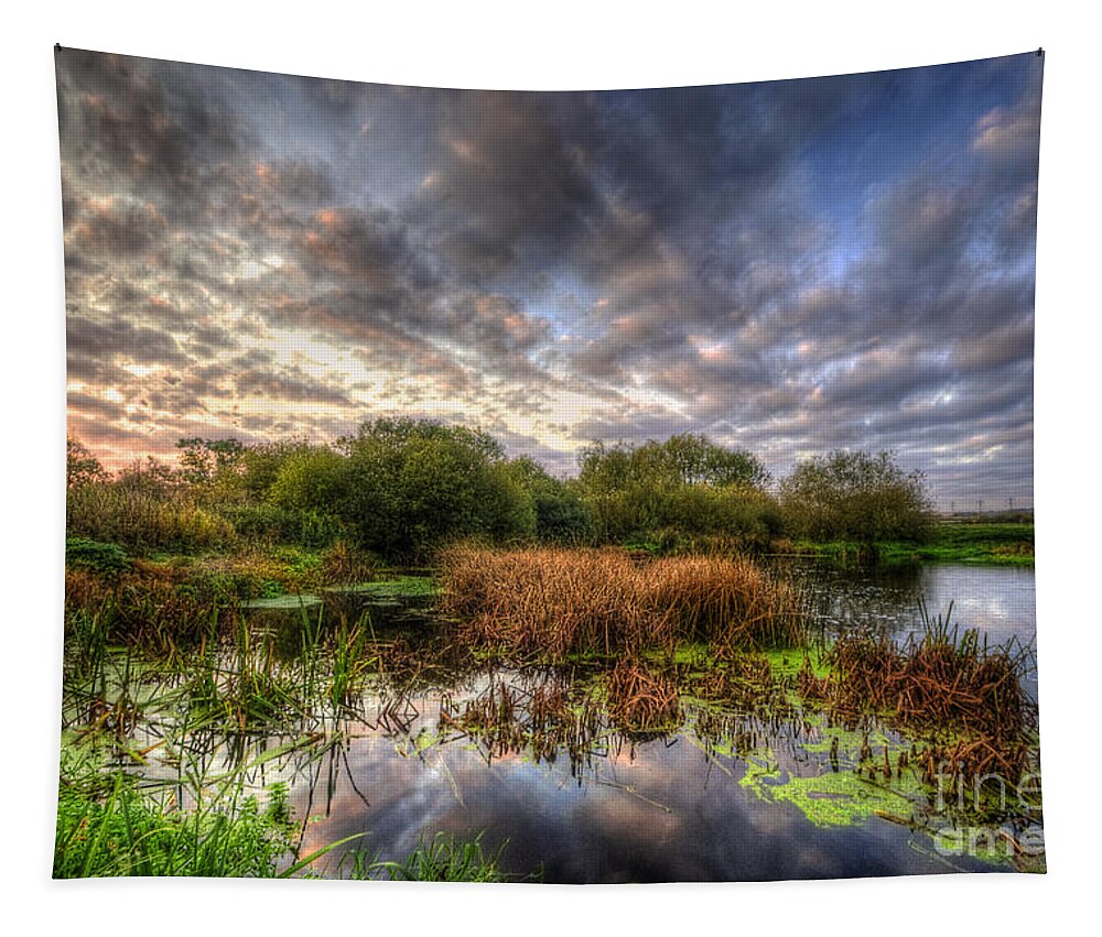 Hdr Tapestry featuring the photograph Swampy by Yhun Suarez