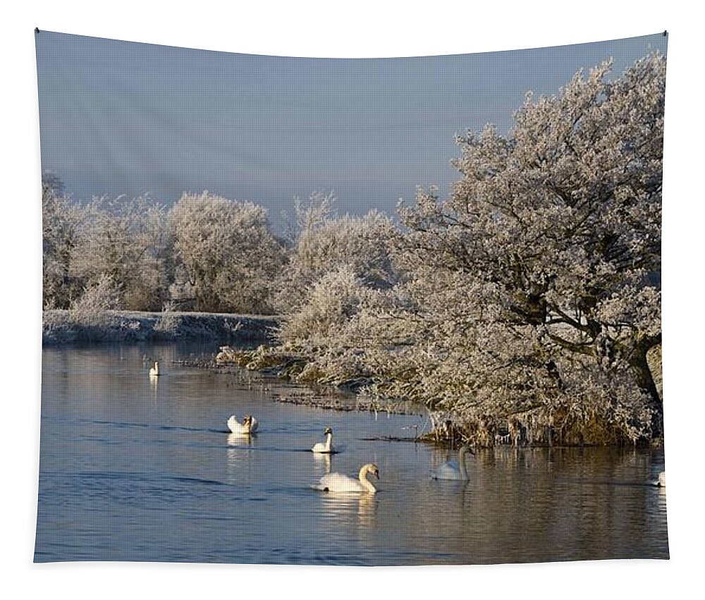Swan Tapestry featuring the photograph Swan Patrol by Rob Hemphill