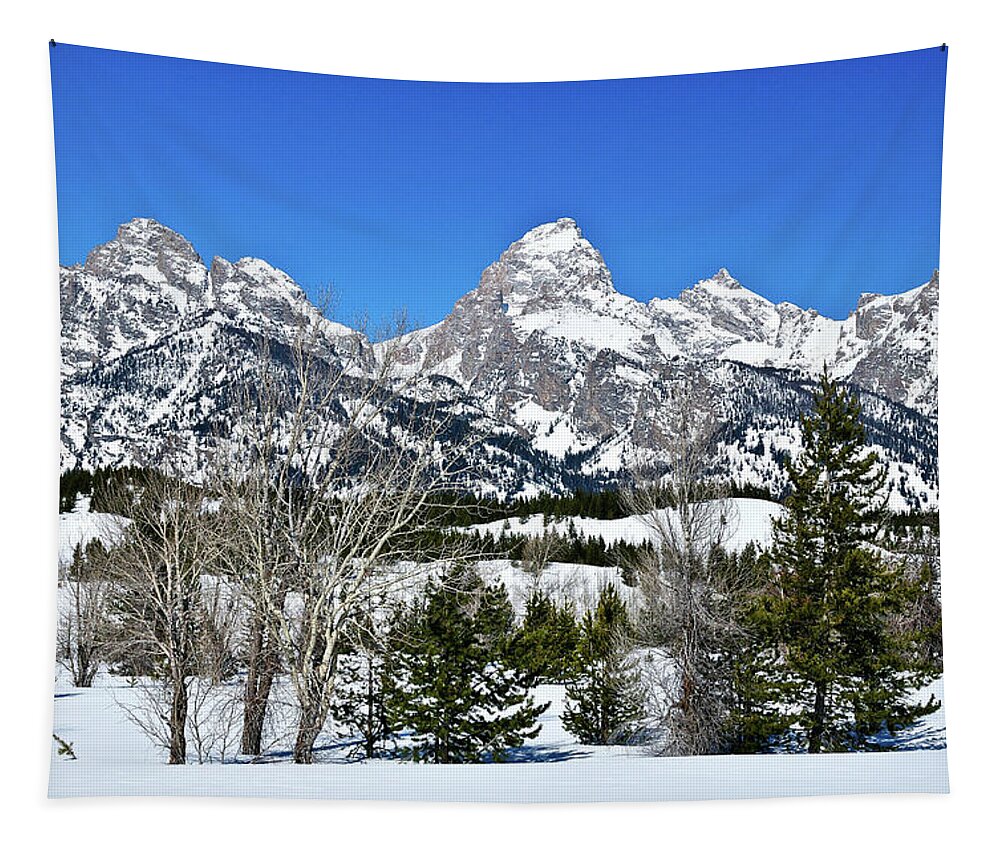 Grand Teton National Park Tapestry featuring the photograph Teton Winter Landscape by Greg Norrell
