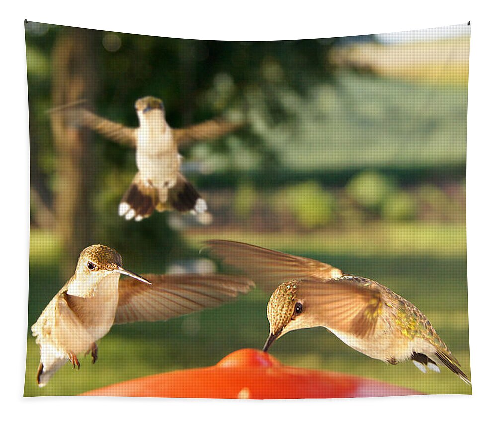 Bird Tapestry featuring the photograph The Breakfast Club by Bill Pevlor