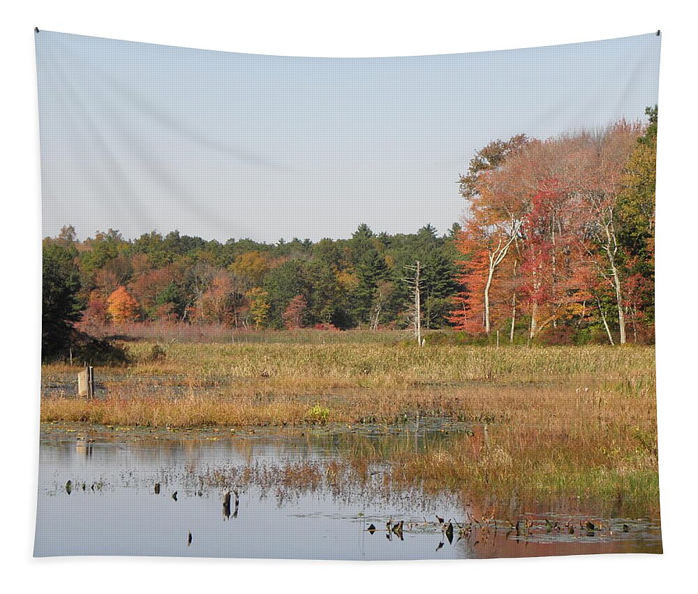 Autumn Tapestry featuring the photograph The Colors Have Arrived by Kim Galluzzo