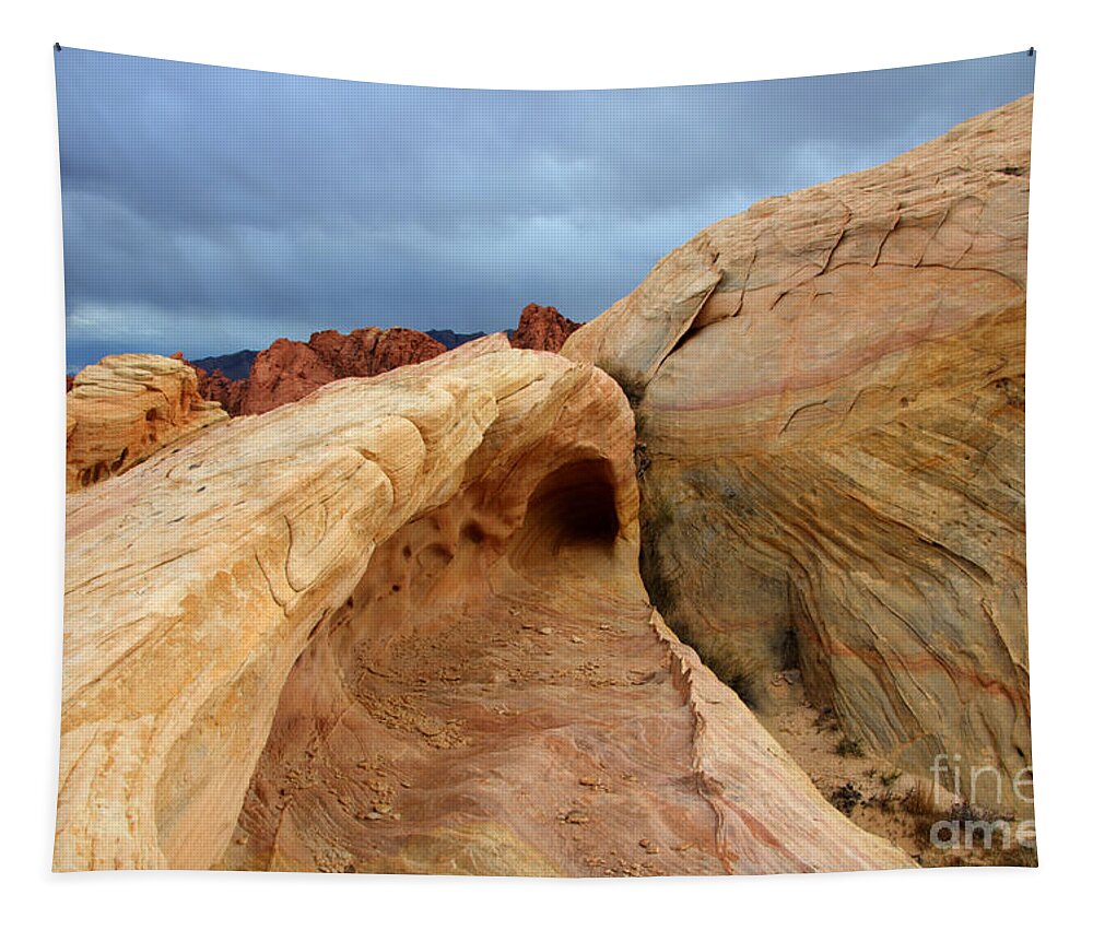 Sandstone Tapestry featuring the photograph The Folded Landscape by Bob Christopher