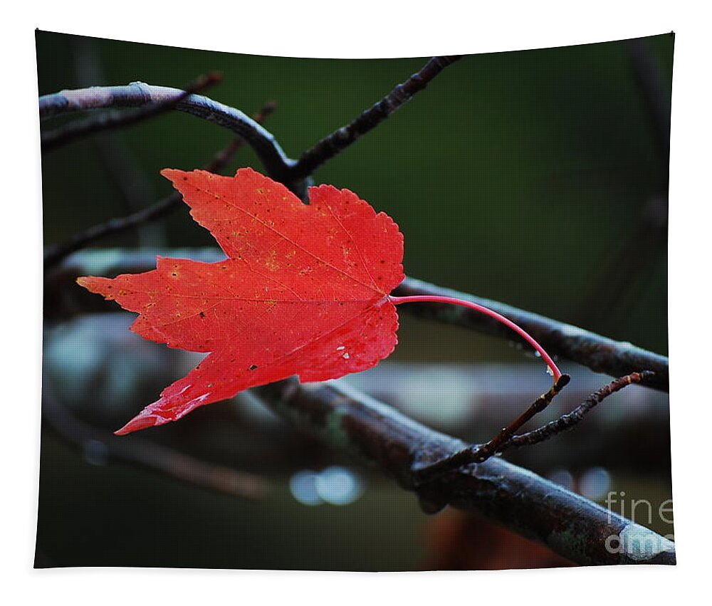 Leaf Tapestry featuring the photograph The Last Red Leaf by Robert Meanor