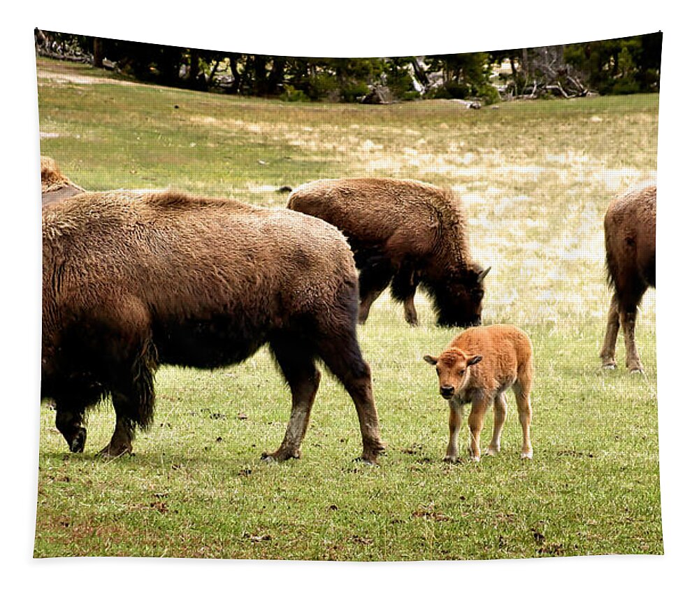 Bison Tapestry featuring the photograph The Mighty Bison by Ellen Heaverlo