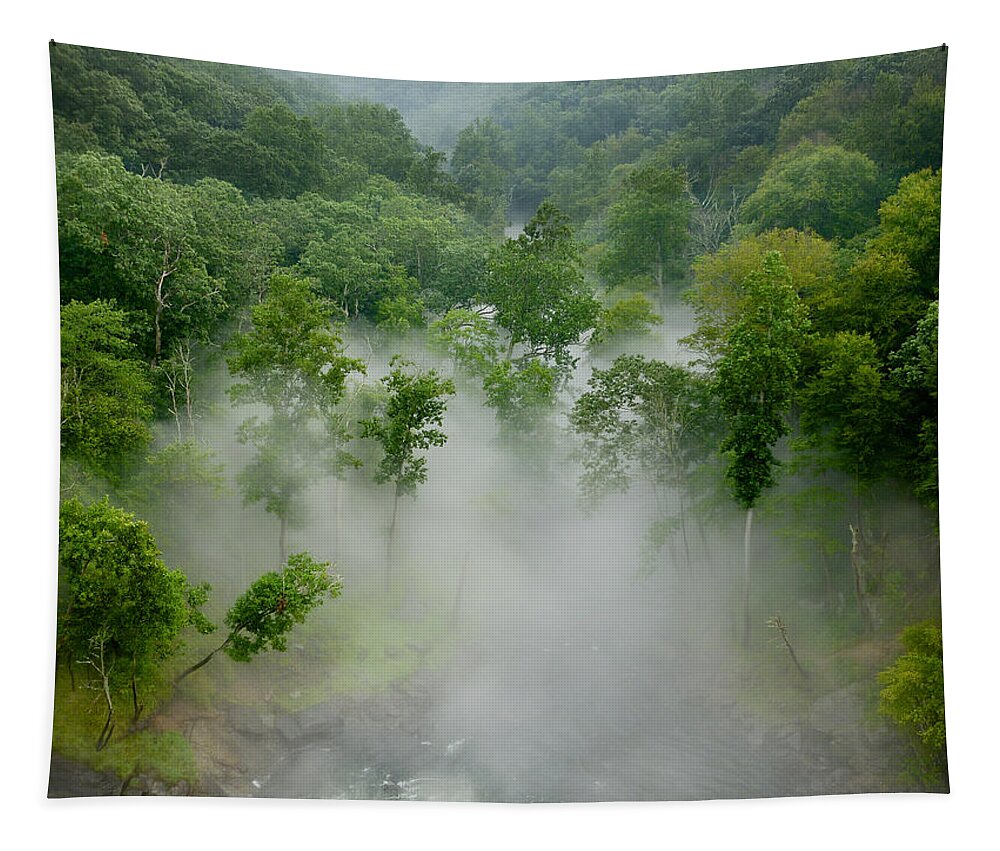 River Tapestry featuring the photograph The Mist in the valley by Mark Dodd