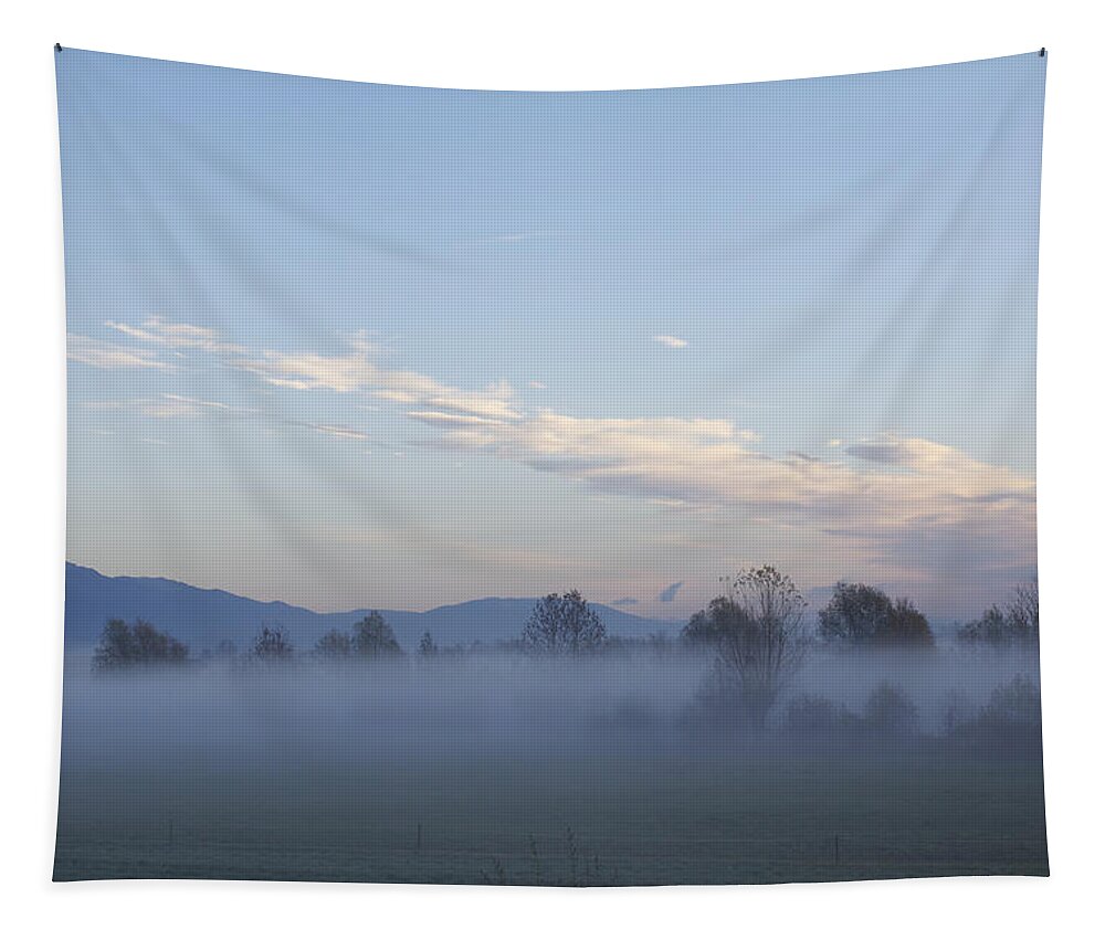Veneto Tapestry featuring the photograph The Morning Fog by Donato Iannuzzi