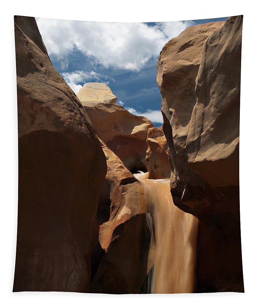 Willis Creek Tapestry featuring the photograph The Red Clay Faces of Willis Creek. Utah. by Joe Schofield