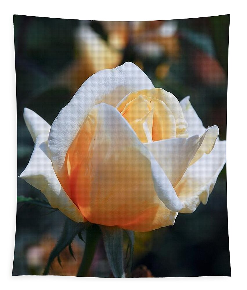 Rose Tapestry featuring the photograph The Rose by Fotosas Photography
