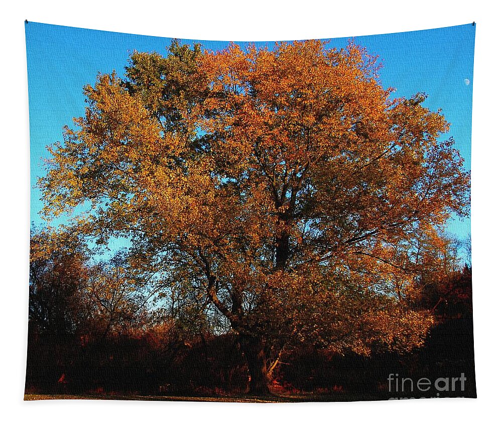 Tree Tapestry featuring the photograph The Tree of Life by Davandra Cribbie