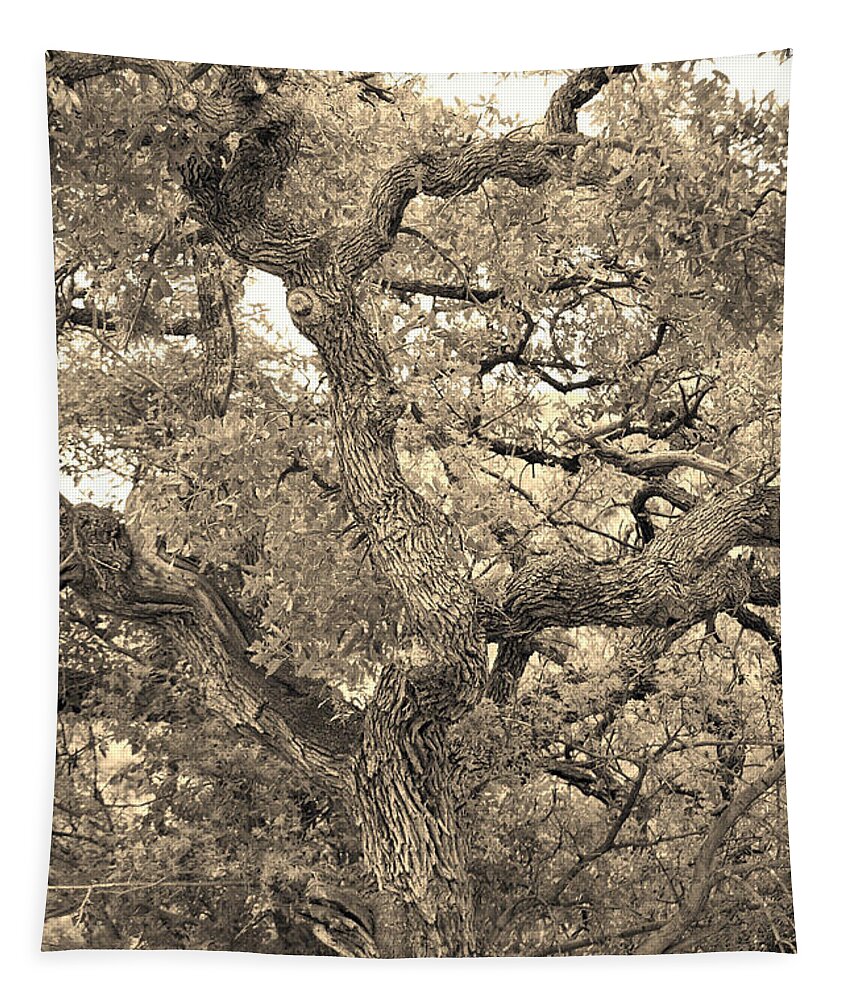 Fine Art Tapestry featuring the photograph The Wicked Tree by Donna Greene
