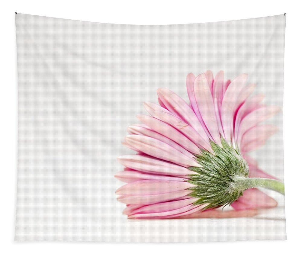 Flower Tapestry featuring the photograph Thoughts So Tender by Evelina Kremsdorf