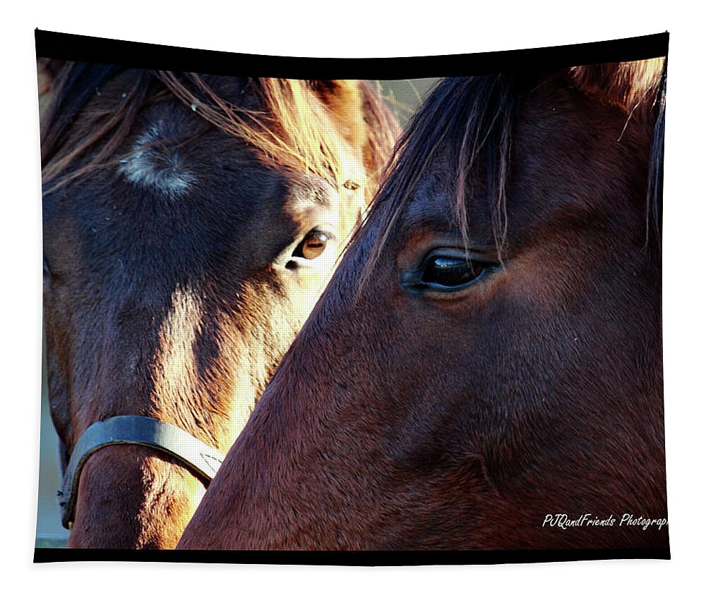  Tapestry featuring the photograph 'Three Horse Eyes' by PJQandFriends Photography
