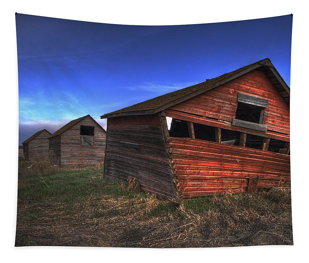 Colour Image Tapestry featuring the photograph Three Old Red Granaries On The Alberta by Dan Jurak