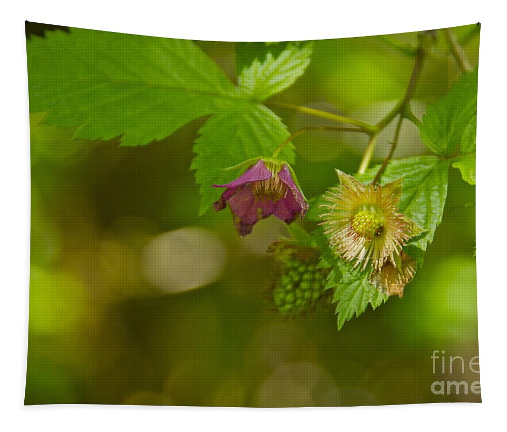 Photography Tapestry featuring the photograph Three Stages of Salmonberry by Sean Griffin