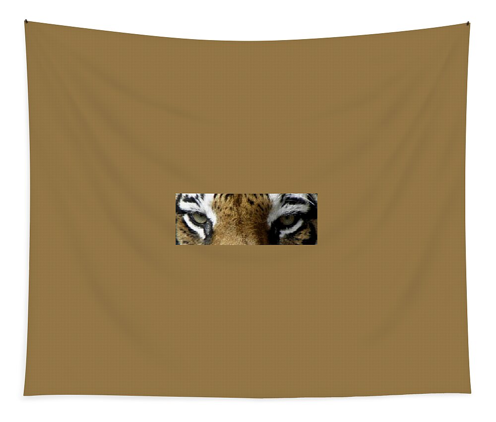 Tiger Tapestry featuring the photograph Tiger Eyes by Kim Galluzzo