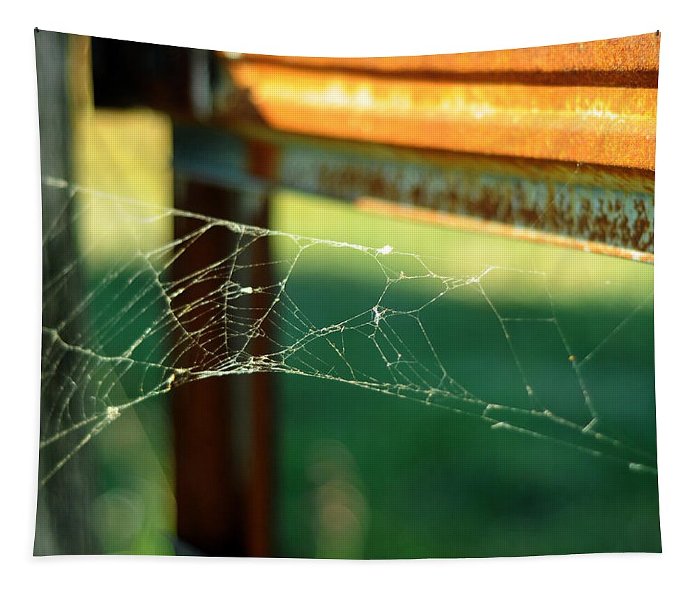Spiderweb Tapestry featuring the photograph Time and Patience by Rebecca Sherman