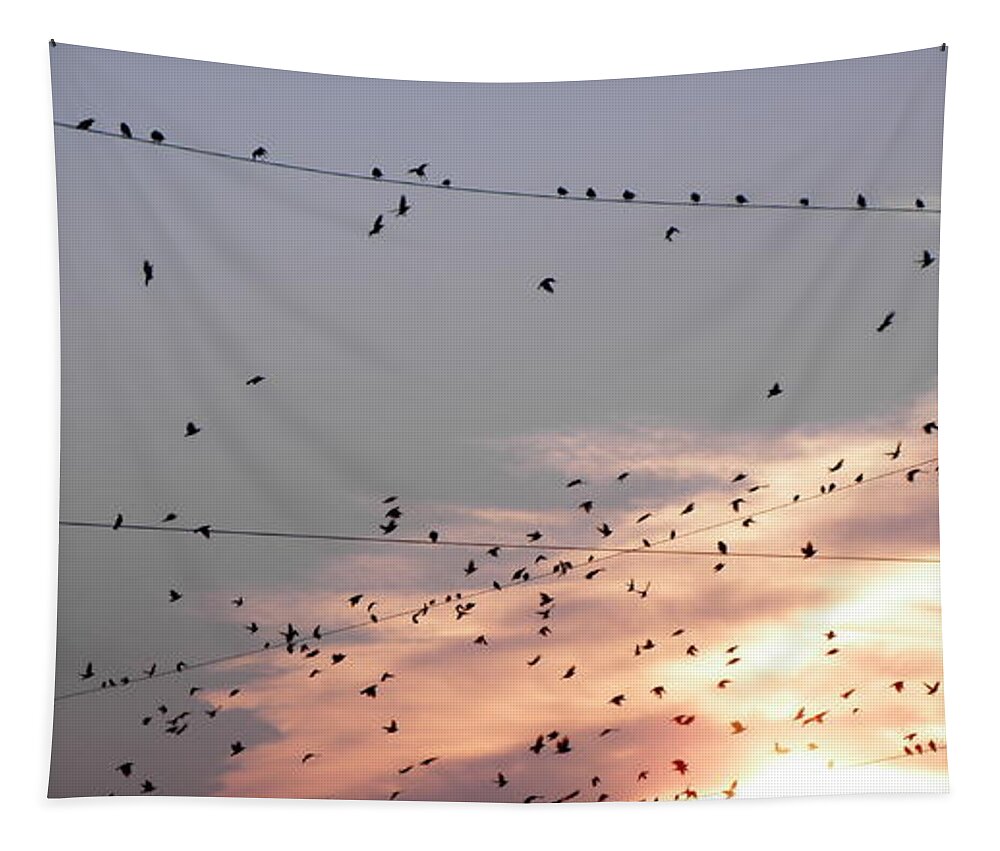 Birds Tapestry featuring the photograph Time for me to fly by Kim Galluzzo