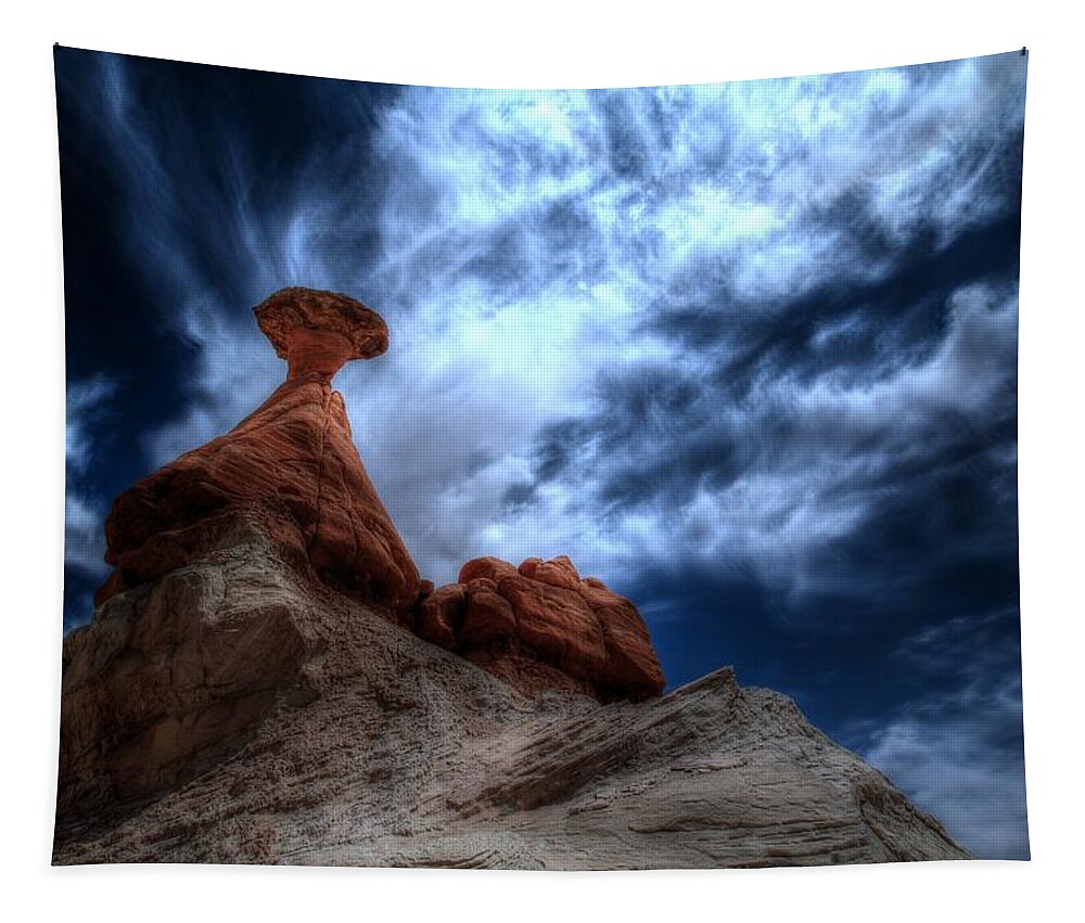Hoodoo Tapestry featuring the photograph Toadstool by Jonathan Davison