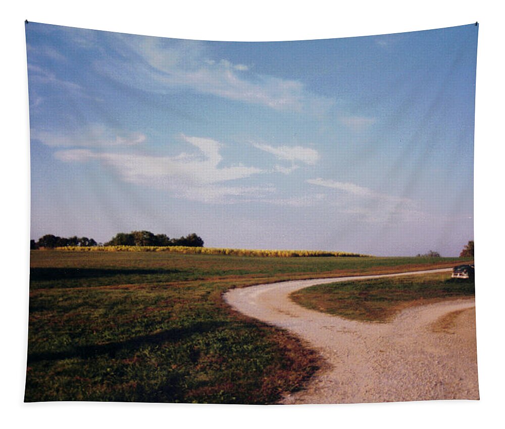 Landscape Tapestry featuring the photograph Tobacco Road by Stacy C Bottoms