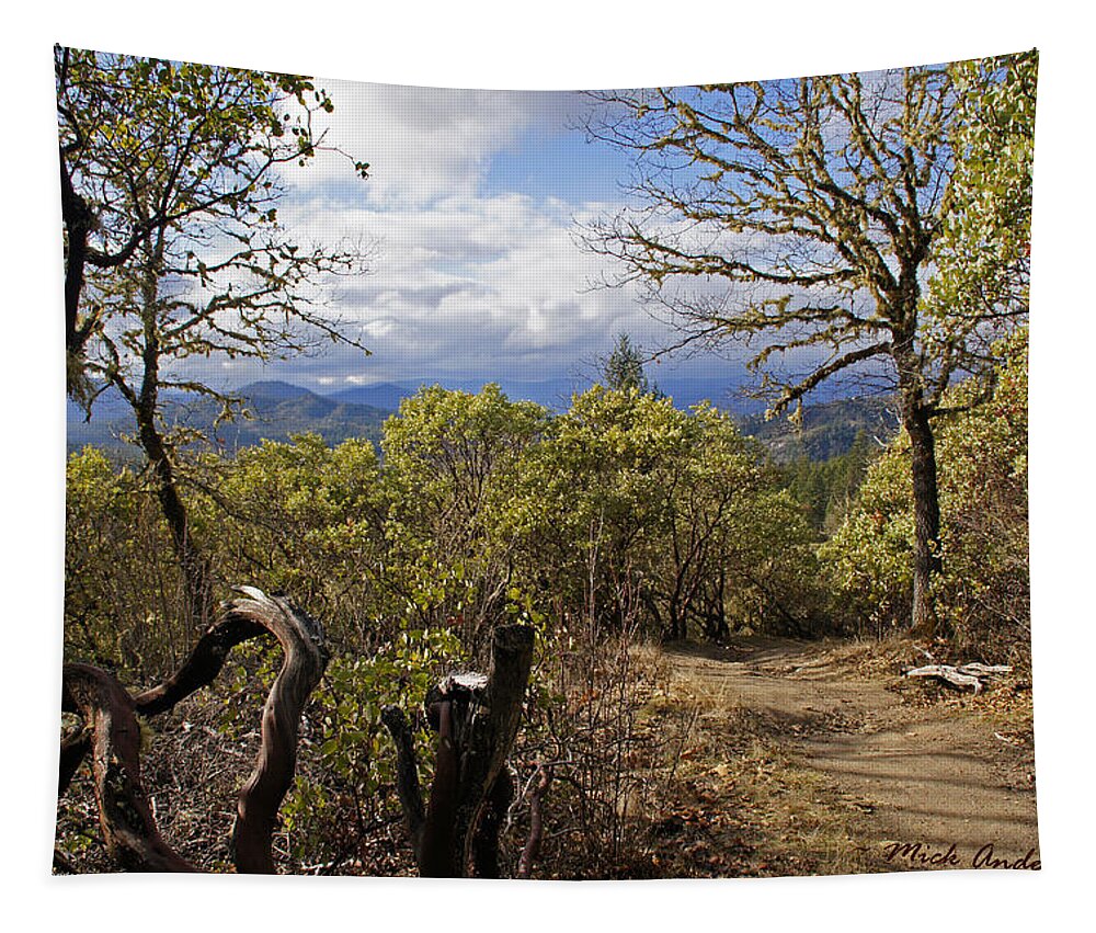 Grants Pass Tapestry featuring the photograph Trail at Cathedral Hills by Mick Anderson