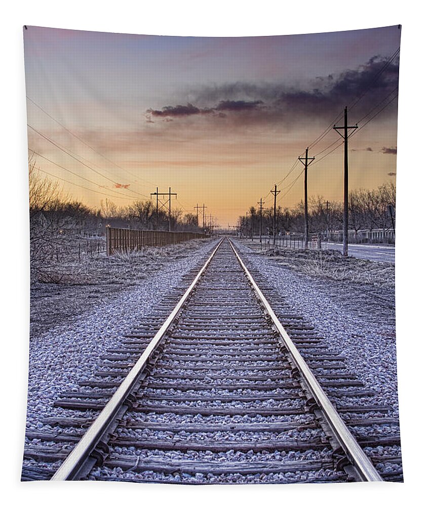 Train Tapestry featuring the photograph Train Tracks and Color by James BO Insogna