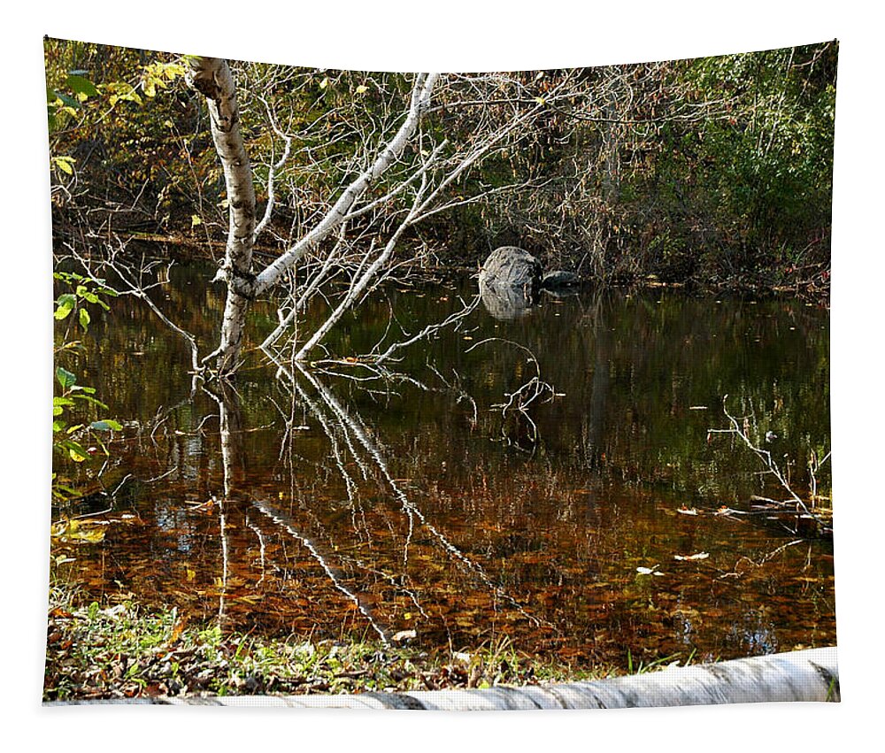 Usa Tapestry featuring the photograph Tree Reflections Stoney Creek by LeeAnn McLaneGoetz McLaneGoetzStudioLLCcom