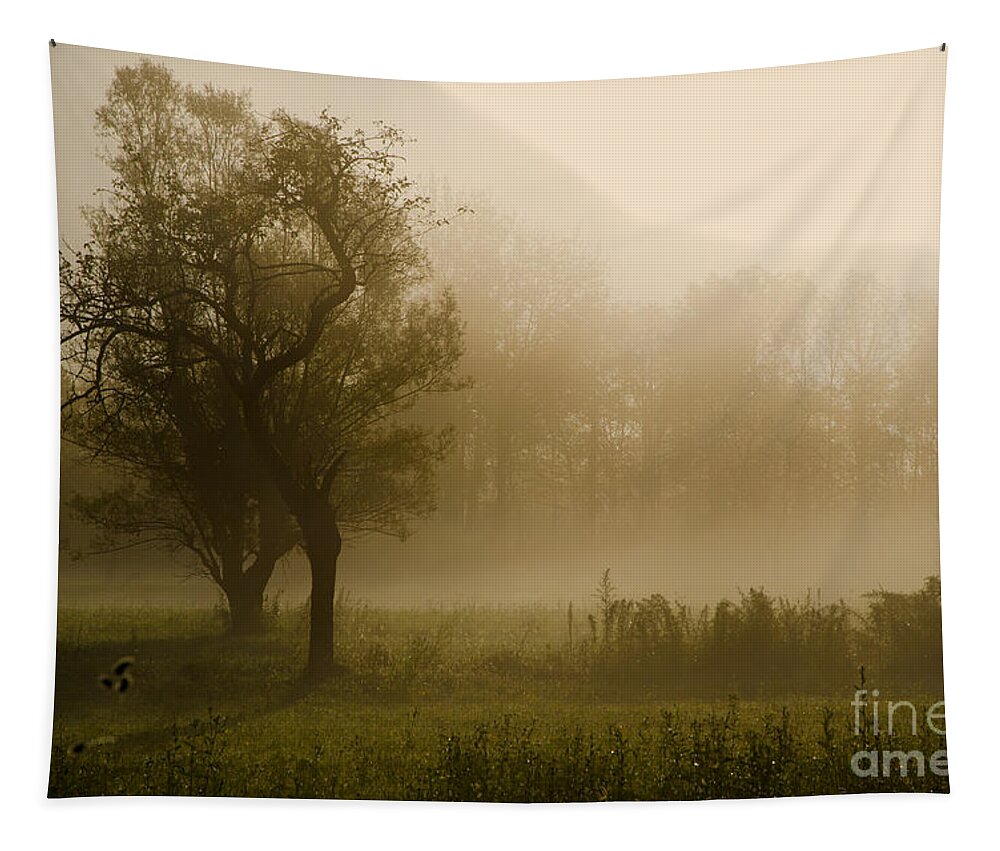 Trees Tapestry featuring the photograph Trees and fog by Mats Silvan