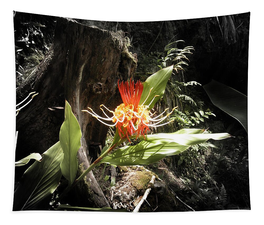 Flowers Tapestry featuring the photograph Tropical Flower by Gina De Gorna