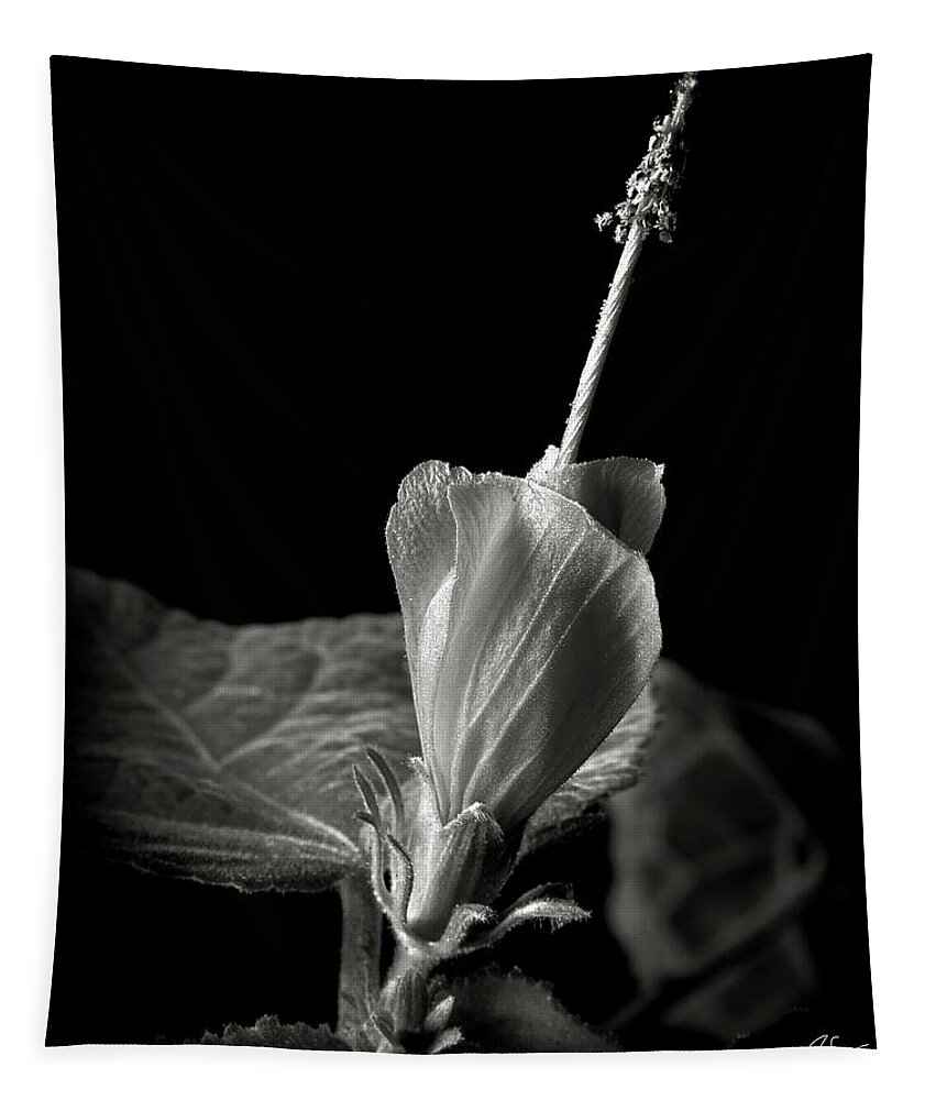 Flower Tapestry featuring the photograph Turk's Cap in Black and White by Endre Balogh