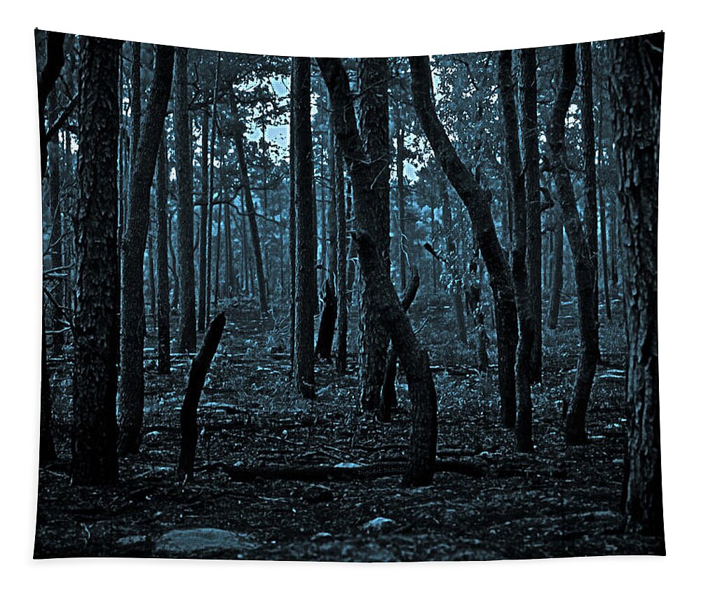 Forest Tapestry featuring the photograph Twilight in the Smouldering Forest by DigiArt Diaries by Vicky B Fuller