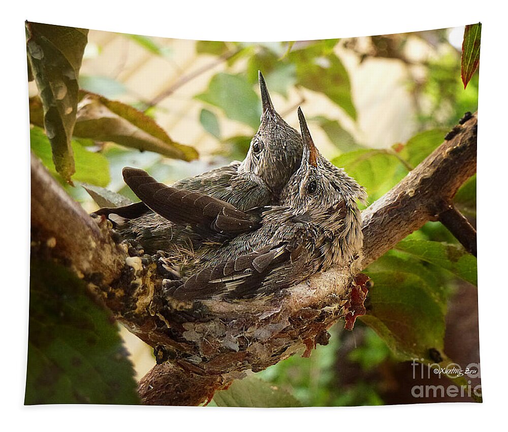 The Hummingbird Tapestry featuring the photograph Two Hummingbird Babies in a Nest 4 by Xueling Zou