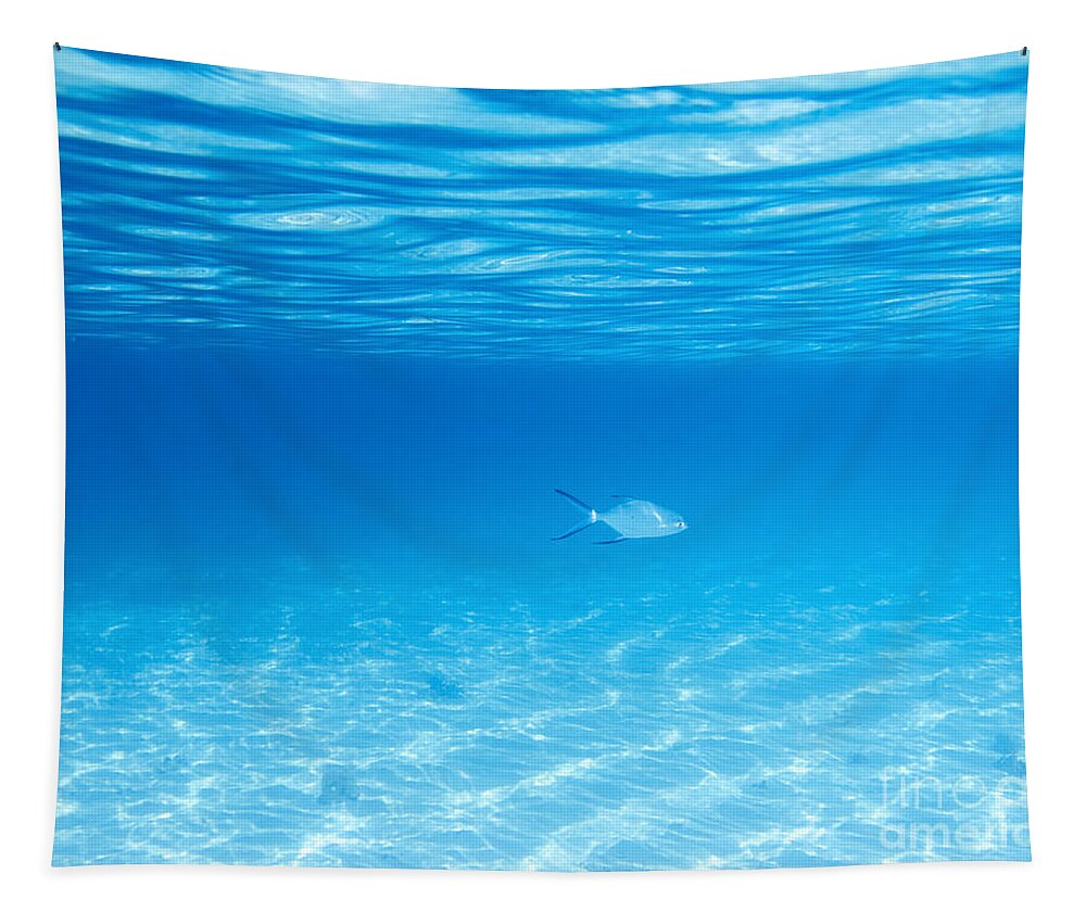 Underwater Tapestry featuring the photograph Underwater by MotHaiBaPhoto Prints