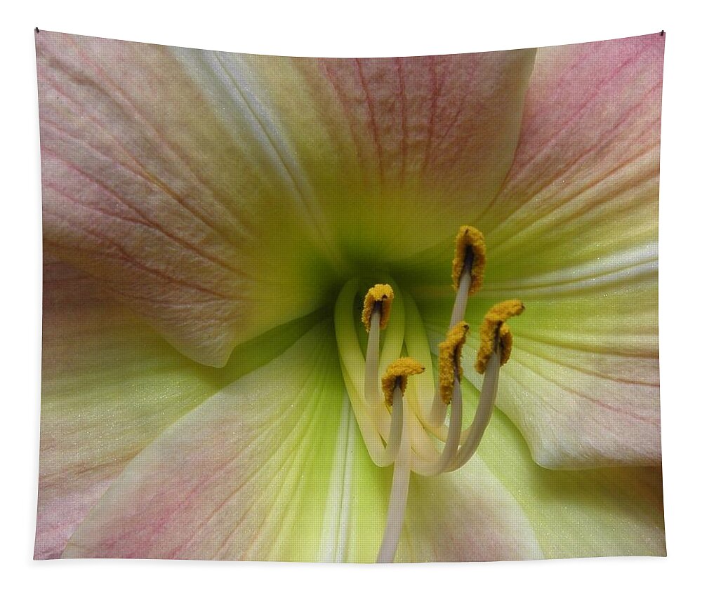 Lily Tapestry featuring the photograph Up Close And Personal Beauty by Kim Galluzzo Wozniak
