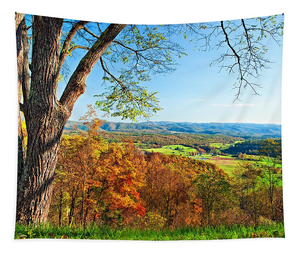 West Virginia Tapestry featuring the photograph View With Caution by Steve Harrington