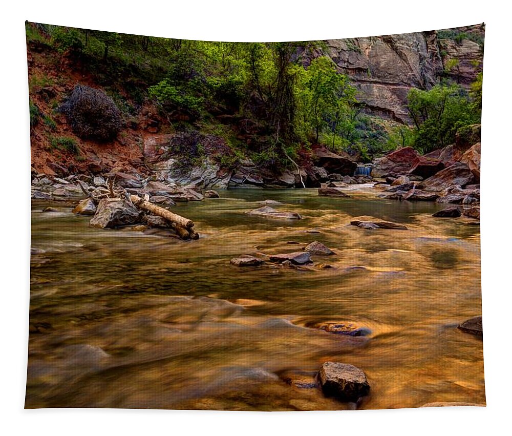 Zion Tapestry featuring the photograph Virgin River Zion by Jonathan Davison