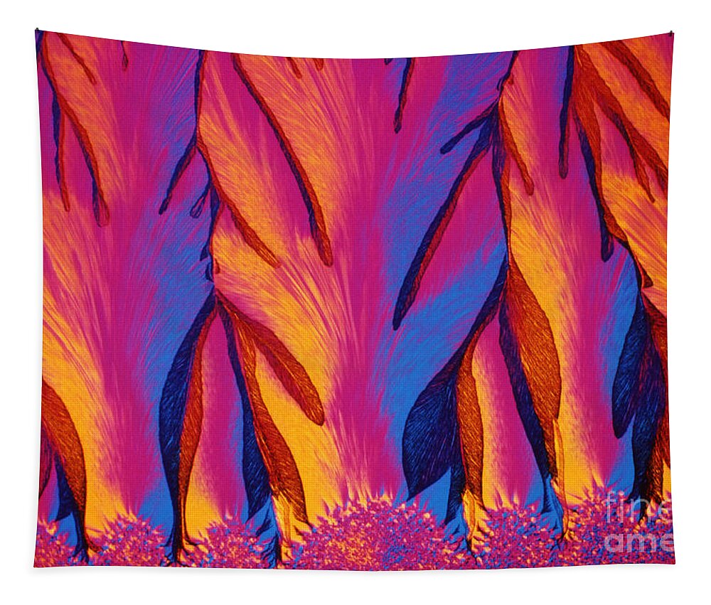 Horizontal Tapestry featuring the photograph Vitamin E Crystals by Michael W Davidson