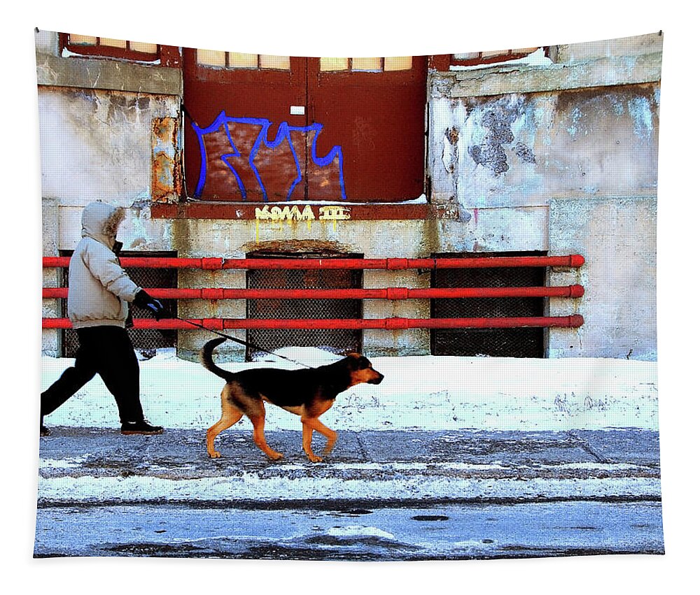 Man Walking Dog Tapestry featuring the photograph Walk On The Cold Side by Burney Lieberman