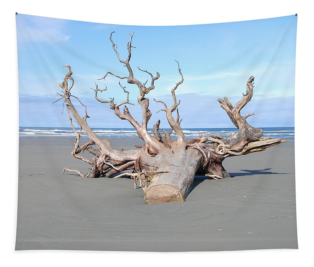 Beach Tapestry featuring the photograph Washed Up by Michael Merry