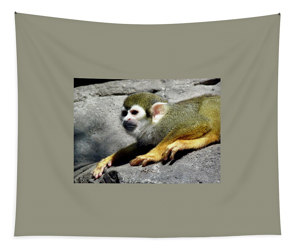 Monkey Tapestry featuring the photograph Watching Over by Kim Galluzzo Wozniak