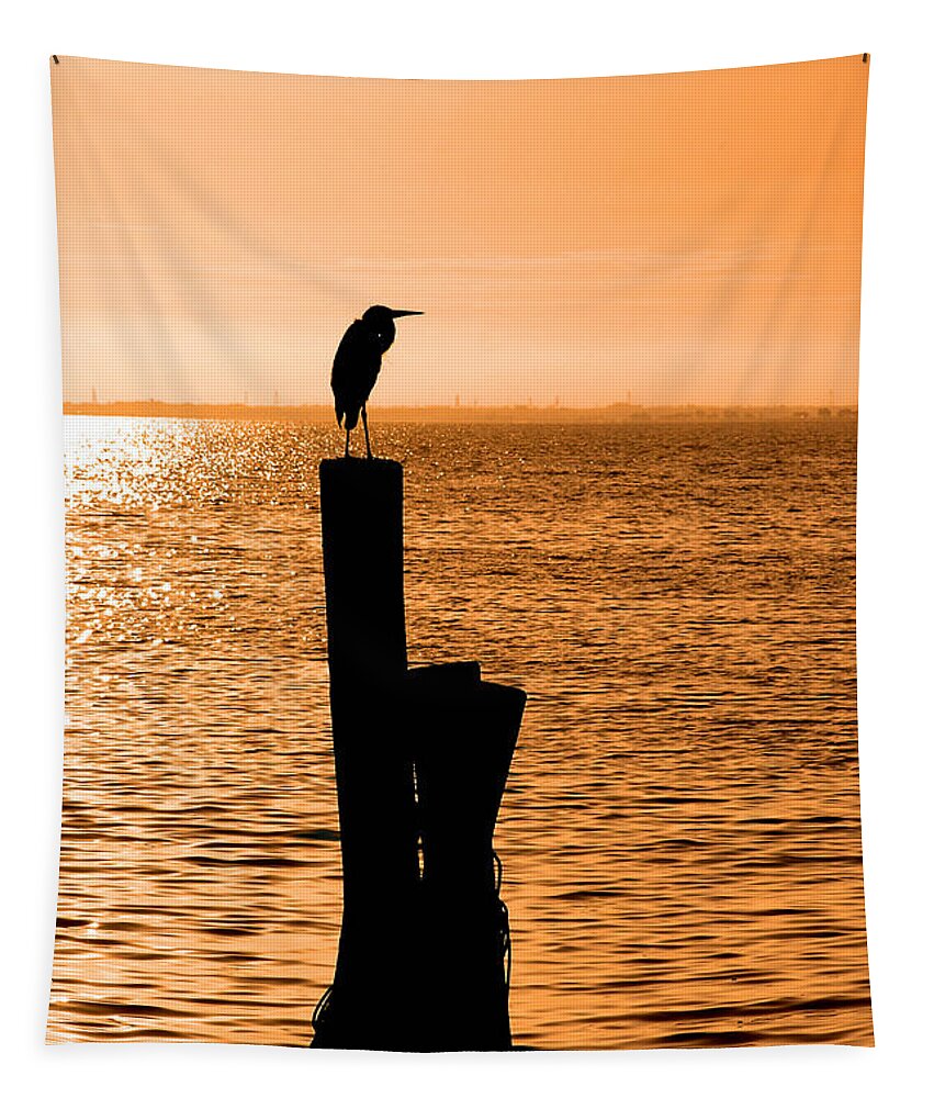 Sunset Tapestry featuring the photograph Watching the Sunset by Carolyn Marshall