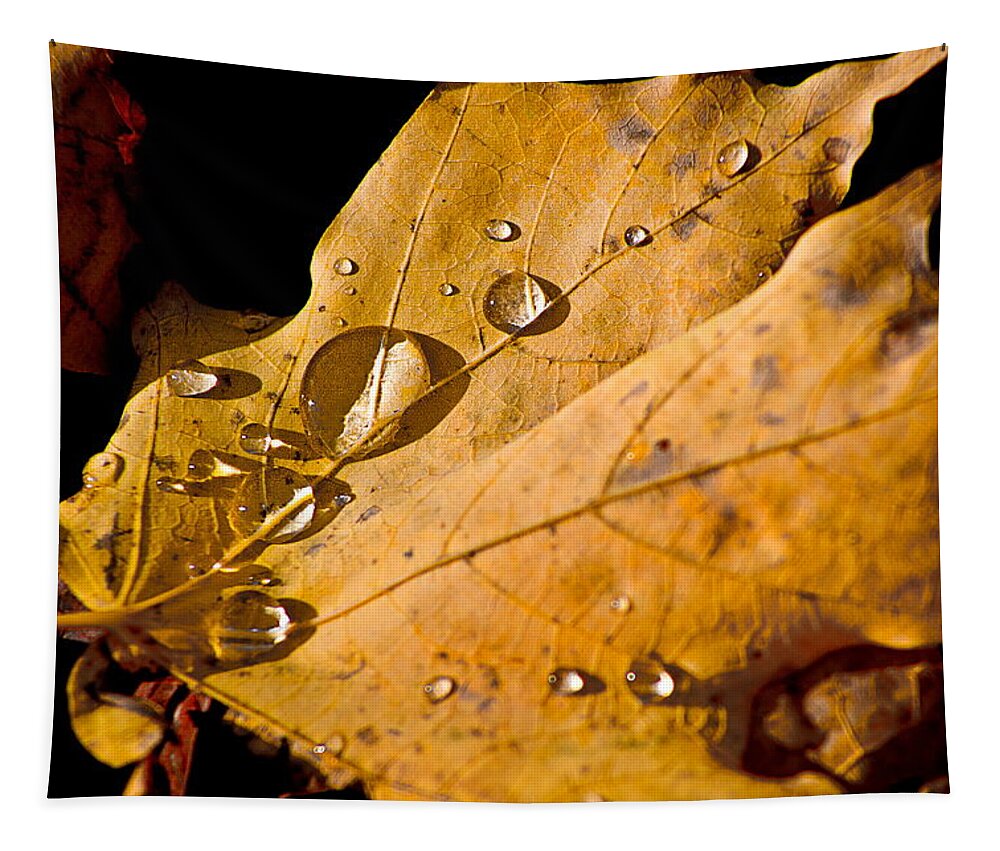 Fallen Leaf With Water Tapestry featuring the photograph Waterfall by Burney Lieberman