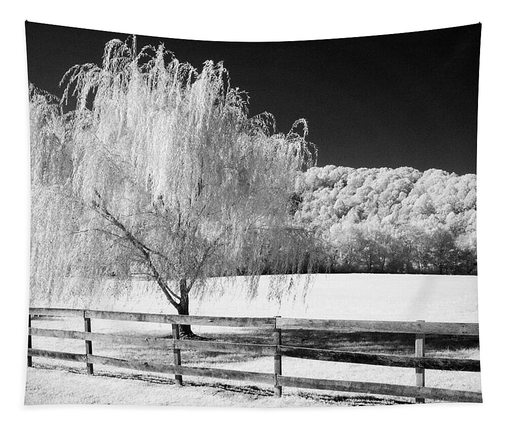 Infrared Tapestry featuring the photograph Weeping Willow by Paul W Faust - Impressions of Light